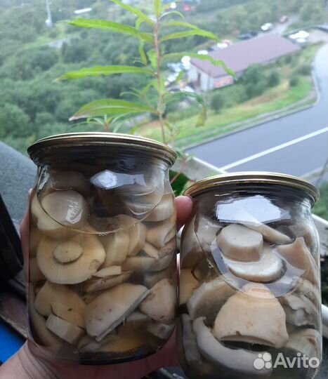 Грибочки маринованные - подарок с Севера