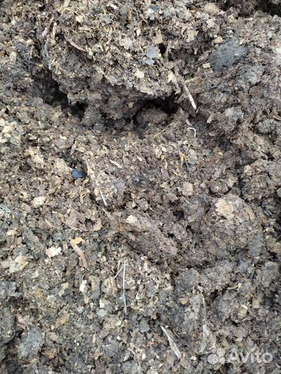 Помет куриный