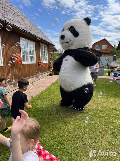 Чебурашка и мишка поздравления