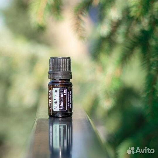 Черная ель эфирное масло doTerra