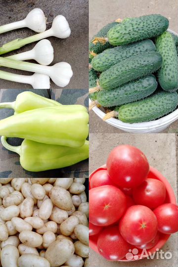 Домашние овощи, ягоды