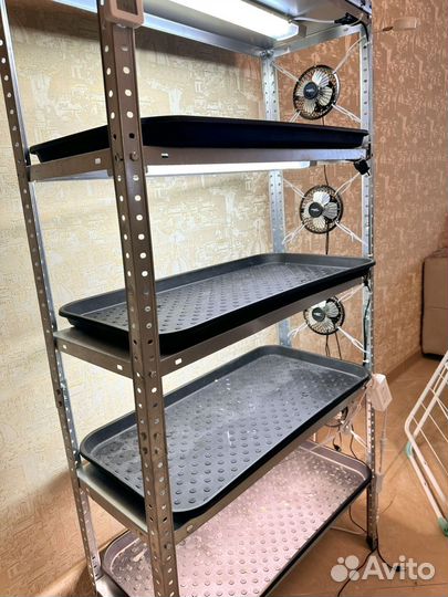 Стеллаж для выращивания микрозелени и растений