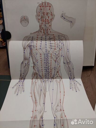 Традиционные и современные аспекты восточной