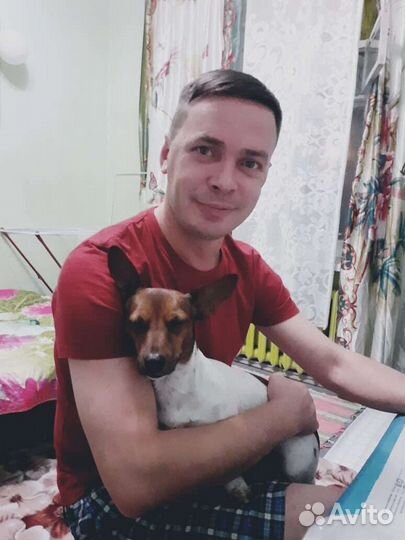 Услуги Муж на час