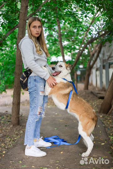 Умница Лолита мечтает о доме