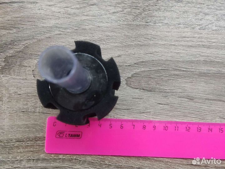 Аквариумные растения