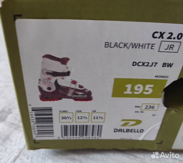 Ботинки для горных лыж