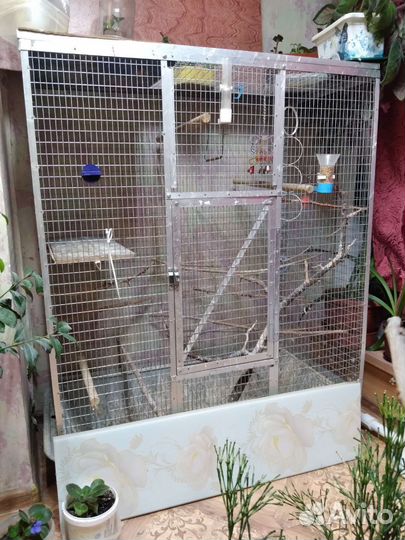 Клетки для волнистых попугаев