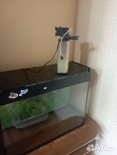 Аквариум