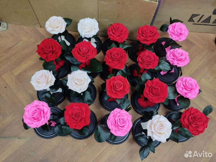 Роза в колбе