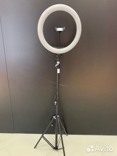 Кольцевая лампа оптом до 56