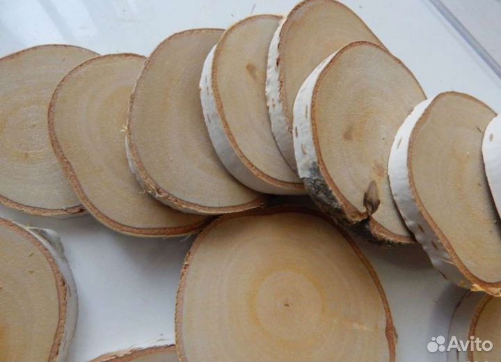Спилы березовые