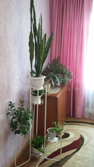 3-к. квартира, 60 м², 1/2 эт.