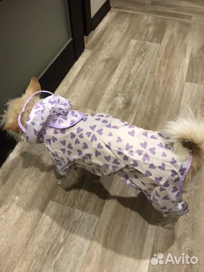 Дождевик для собак новый