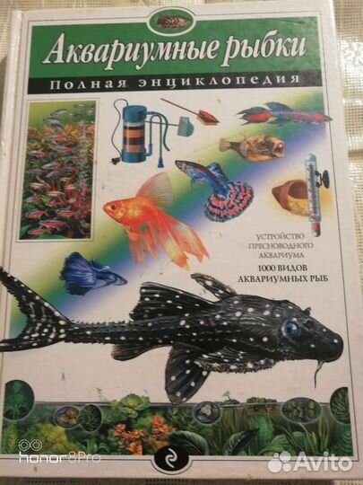 Энциклопедия