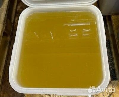 Донниковый мёд Качка 2023 г Опт