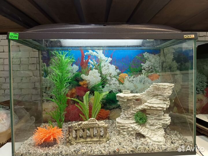 Аквариум с декором