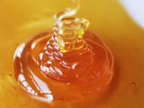 Мёд натуральный алтайский опт min 16kg