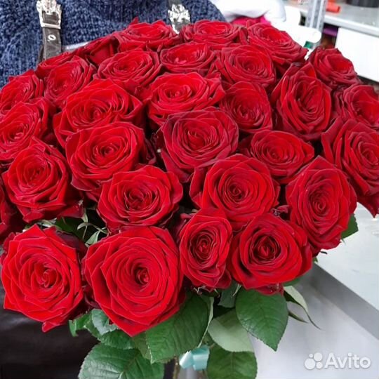 Ярко красные розы - букет 