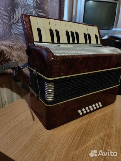 Аккордеон Малыш. Рабочий