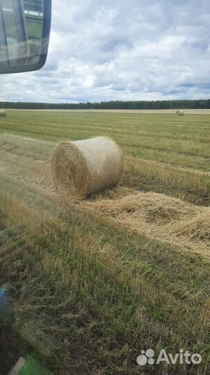 Солома в рулонах