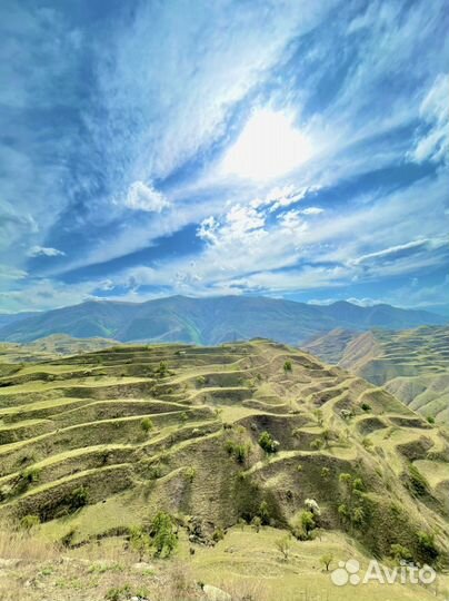 Тур в Дагестан