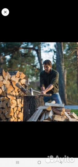 Кольщик дров