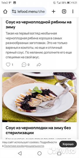 Черноплодная рябина