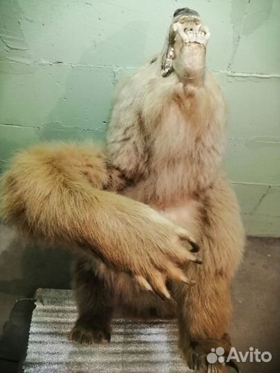 Статуэтка Медведя, фигурка животного