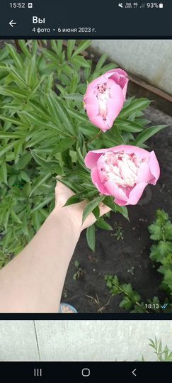 Дача 20 м² на участке 6 сот.