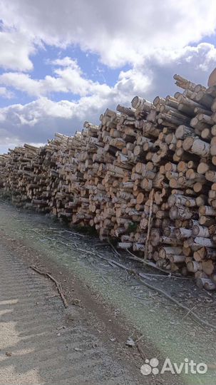 Дрова березовые сухие