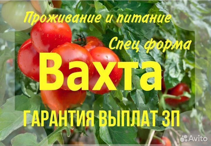 Вахта в Москве – Сборщик Ежедневные выплаты