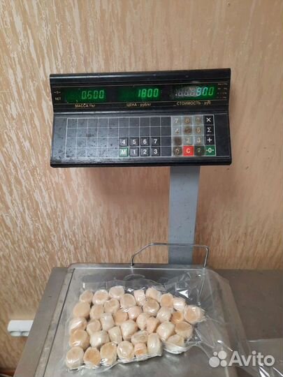 Морской гребешок