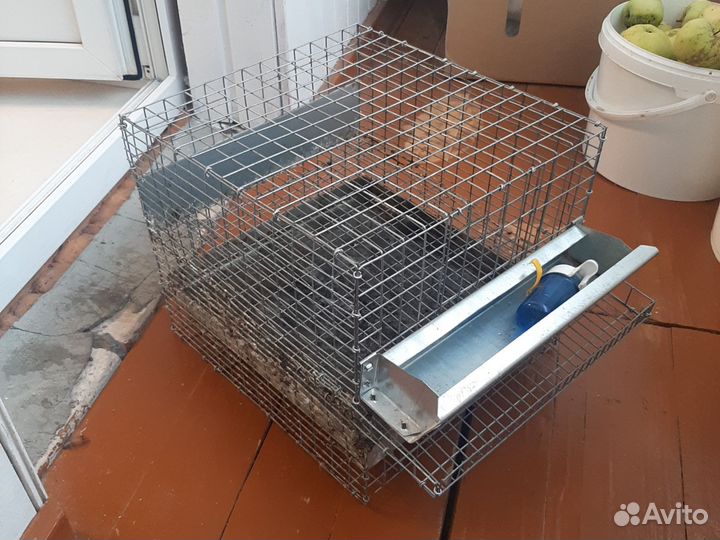 Клетки для перепелов бу