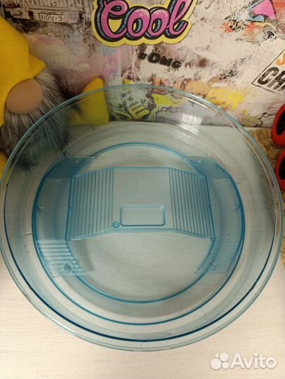 Оазис для питомцев