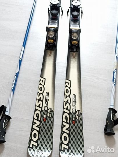 Горные лыжи