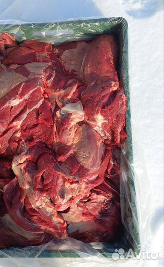 Мясо говядина