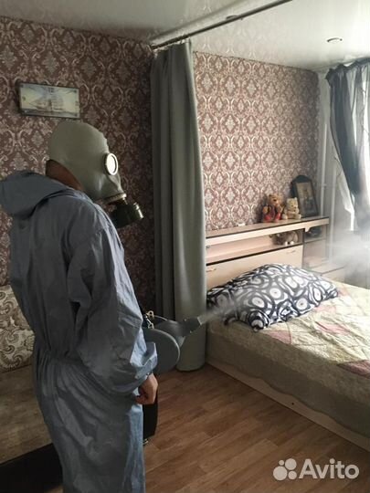 Уничтожение тараканов, клопов, блох, грибка