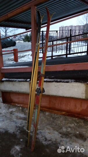 Продам советские лыжи СССР