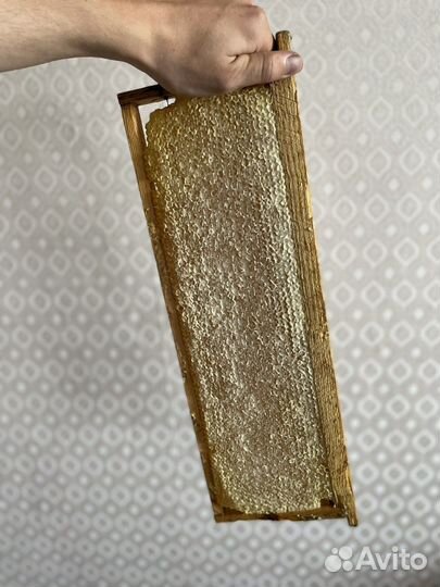 Мед опт разнотравье