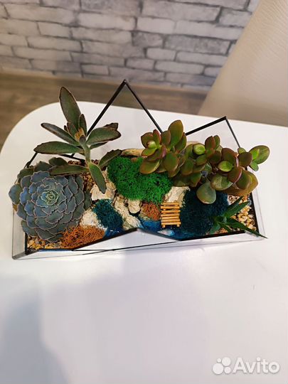 Флорариум. Цветы. Подарок