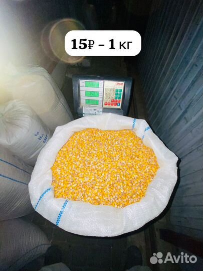 Пшеница в мешках/ кукуруза в мешках/семечка