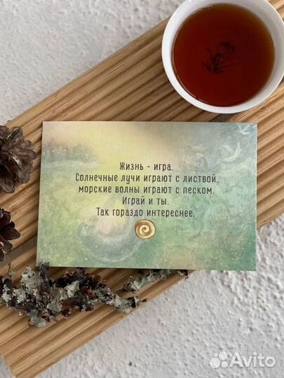 Статическая и динамическая медитация в Янино