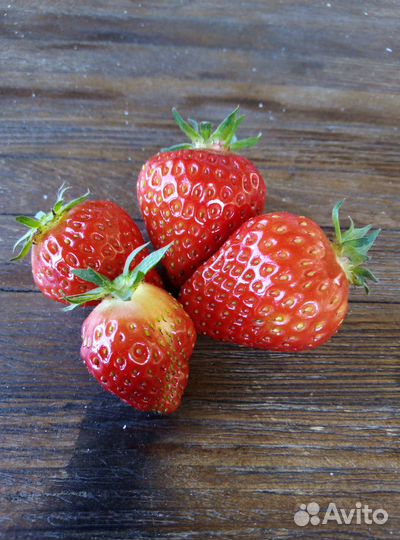 Усы земляники/клубники