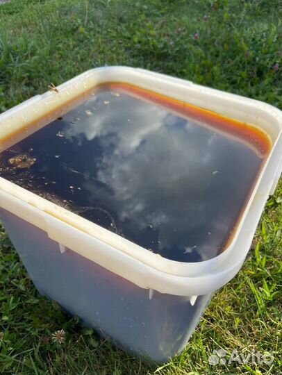 Мед оптом/Доставка по РФ