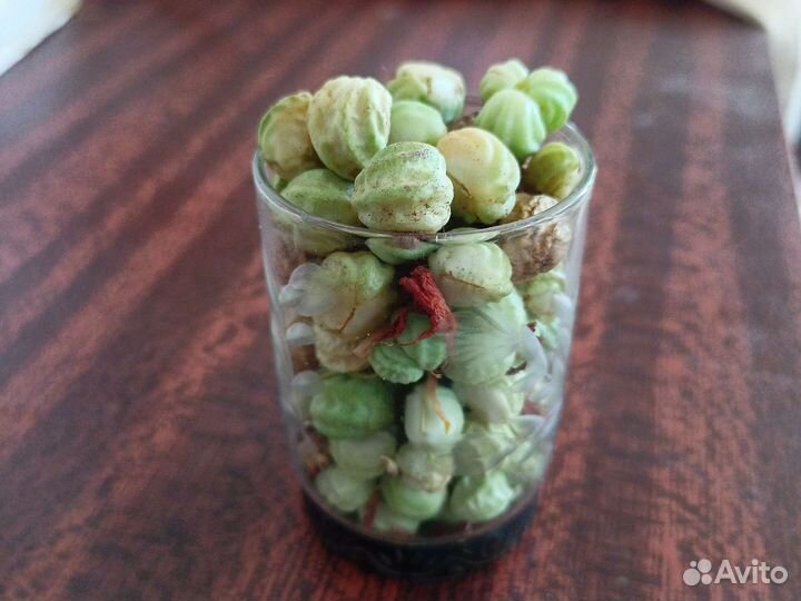 Настурция вьющаяся семена