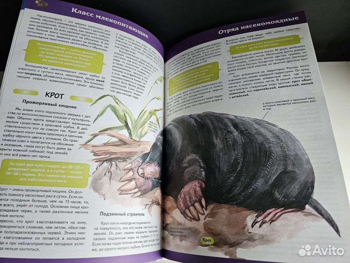 Детская энциклопедия Животные новая