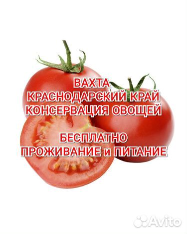 Вахта на пищевом пр-ве проживание питание Юг
