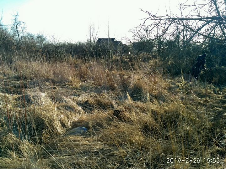 Участок 6 сот. (СНТ, ДНП)