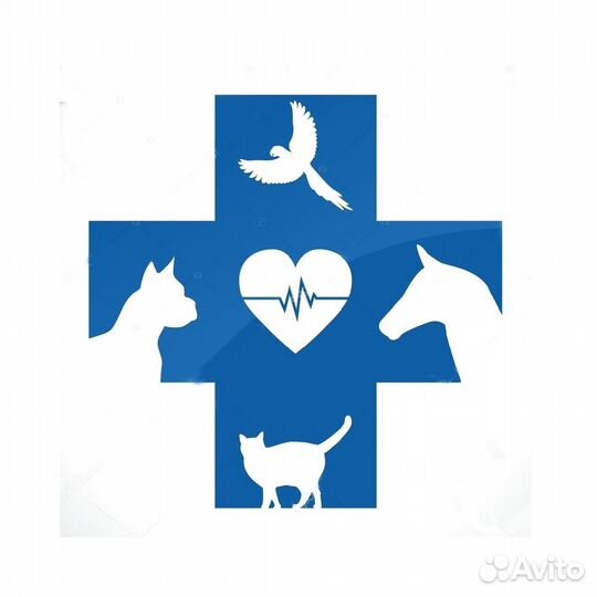 Микрочипы для чипирования животных